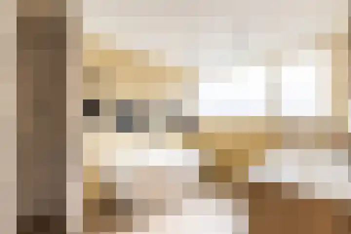 Sexbierumerweg 19 Franeker thumbnail 47