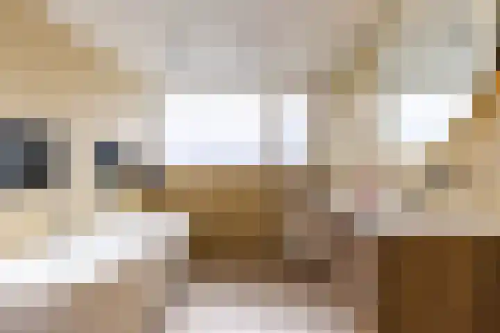 Sexbierumerweg 19 Franeker thumbnail 48