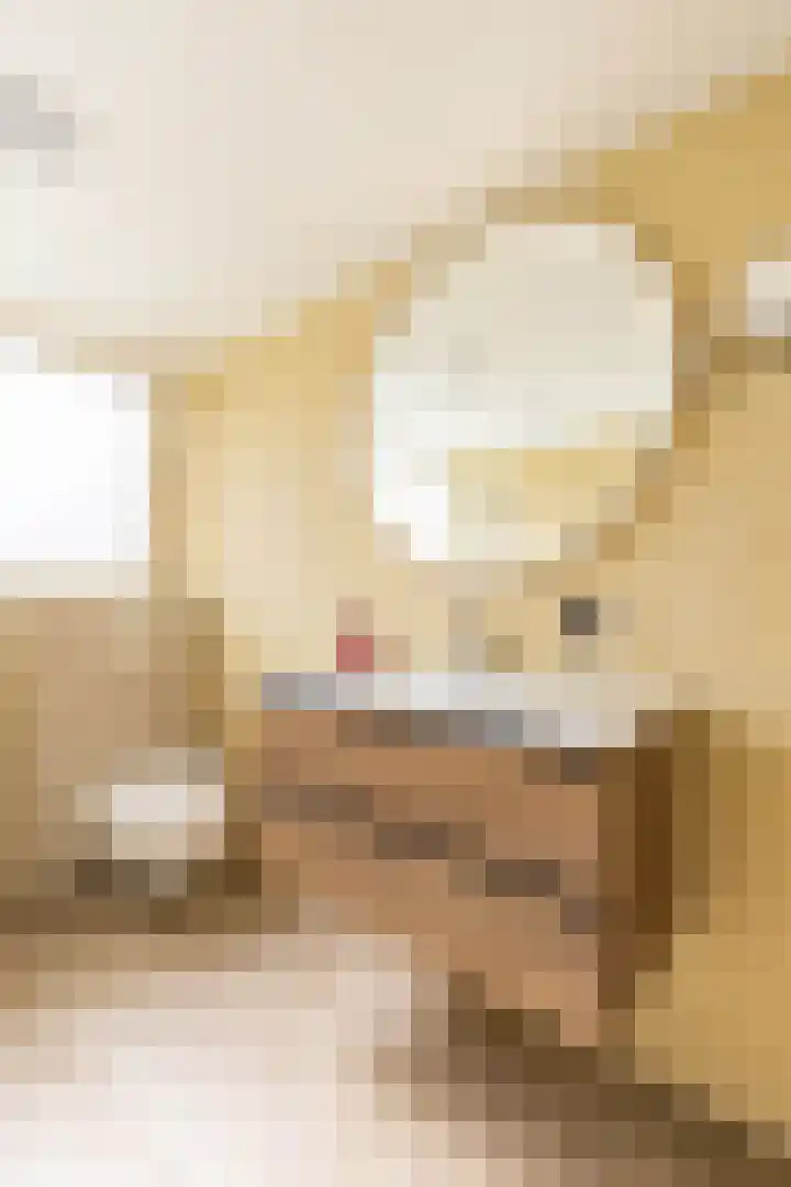 Sexbierumerweg 19 Franeker thumbnail 49