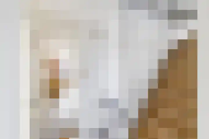 Sexbierumerweg 19 Franeker thumbnail 51