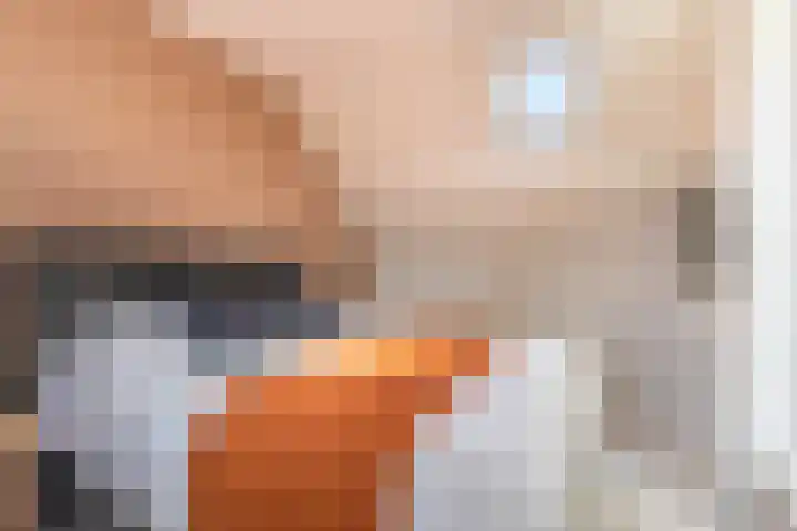 Sexbierumerweg 19 Franeker thumbnail 57
