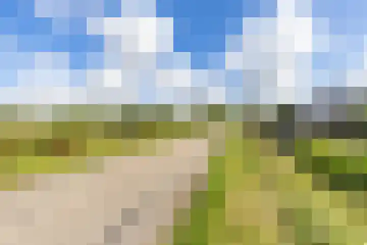 Sexbierumerweg 19 Franeker thumbnail 6