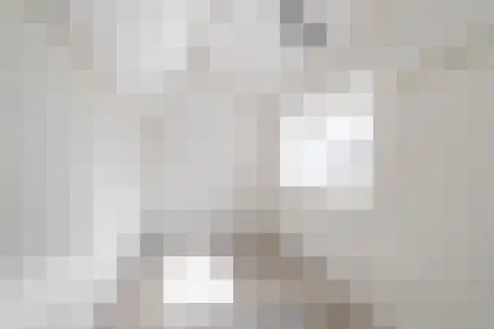 Sexbierumerweg 19 Franeker thumbnail 60