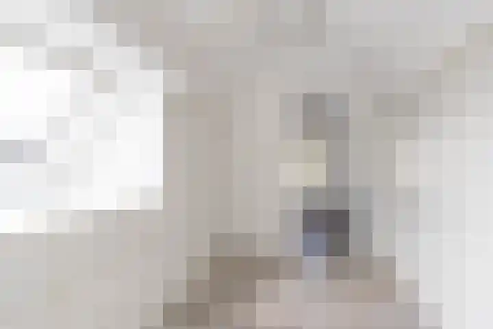 Sexbierumerweg 19 Franeker thumbnail 61
