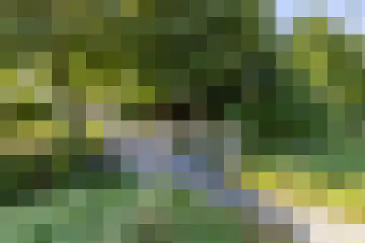 Sexbierumerweg 19 Franeker thumbnail 62