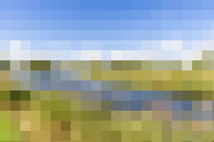 Sexbierumerweg 19 Franeker thumbnail 63