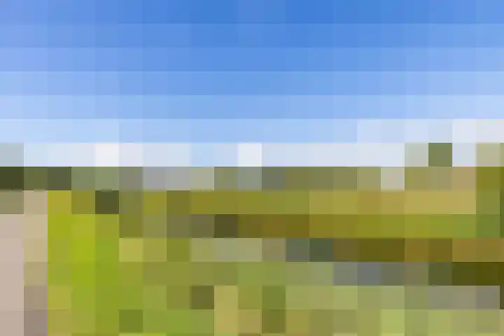 Sexbierumerweg 19 Franeker thumbnail 64