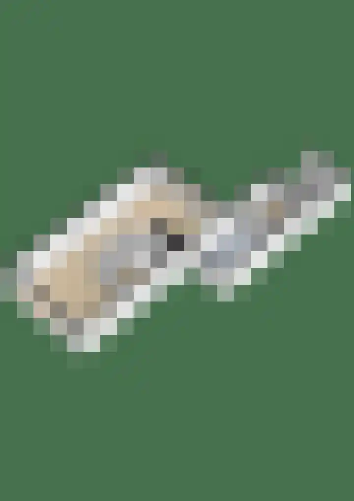 Sexbierumerweg 19 Franeker thumbnail 66