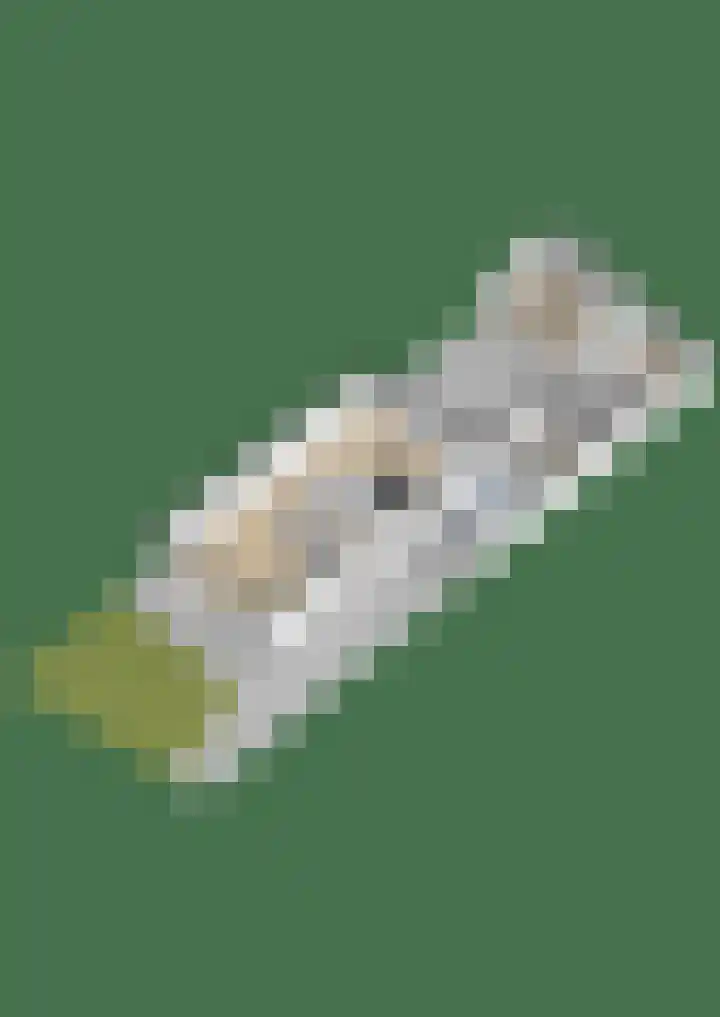 Sexbierumerweg 19 Franeker thumbnail 76