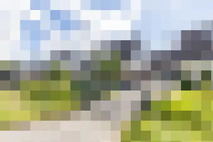 Sexbierumerweg 19 Franeker thumbnail 8