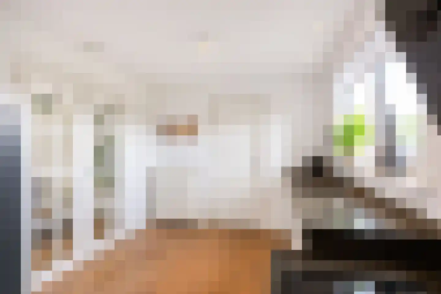 Sexbierumerweg 45 Franeker thumbnail 46