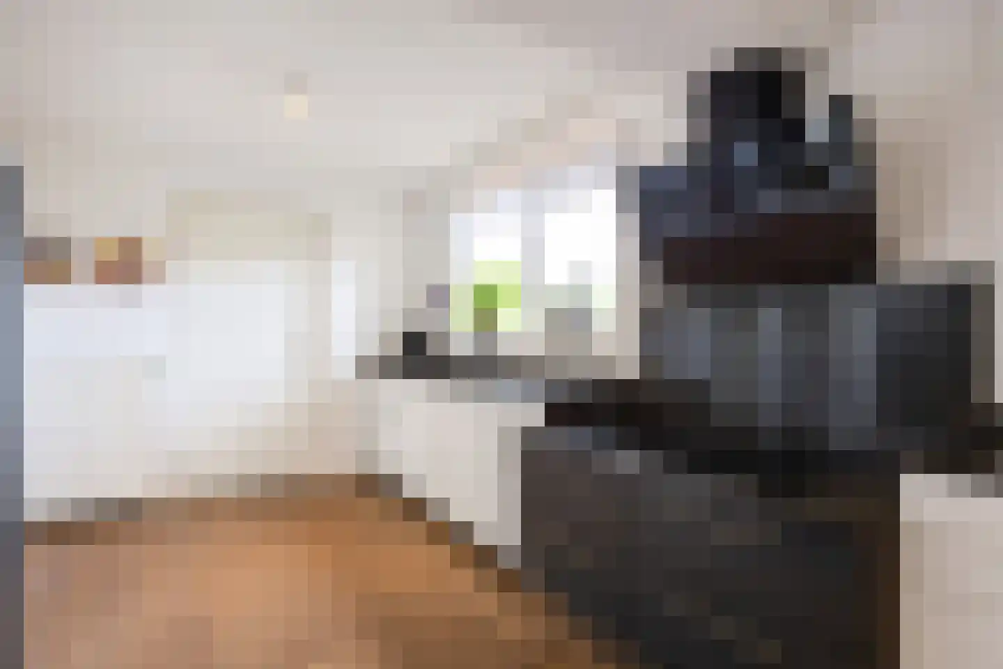 Sexbierumerweg 45 Franeker thumbnail 47