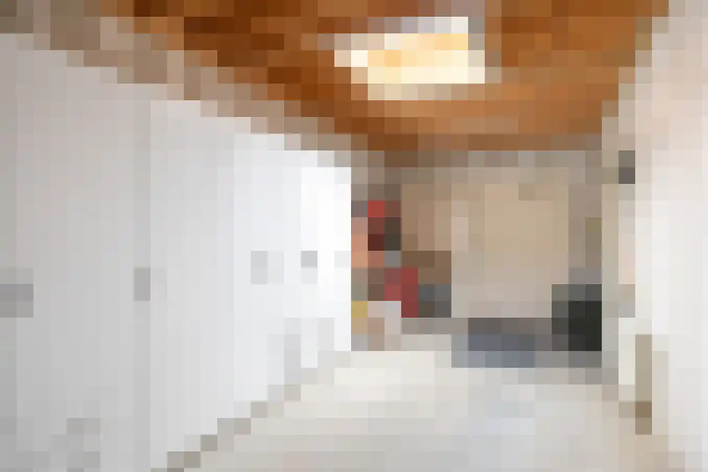 Sexbierumerweg 45 Franeker thumbnail 48