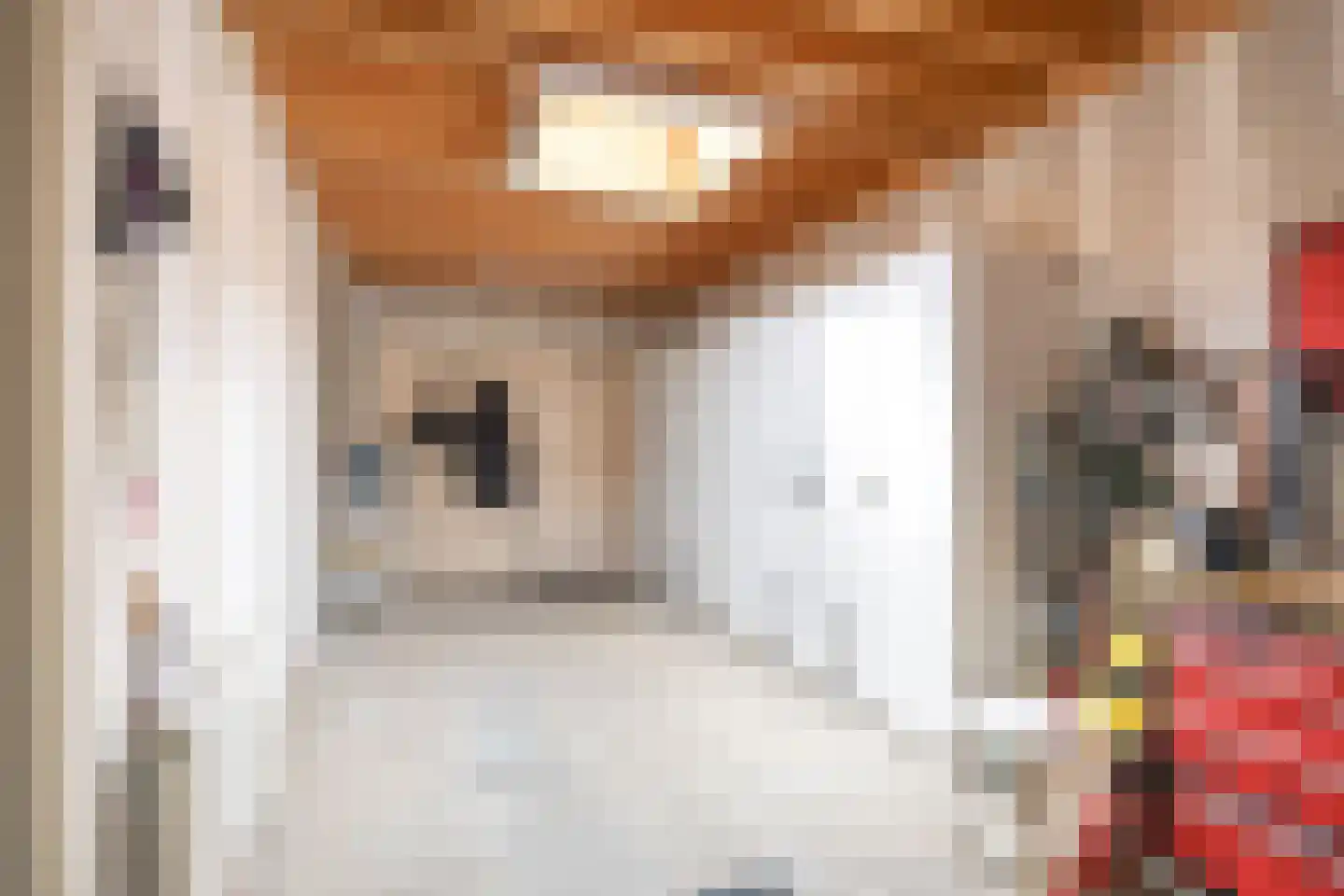Sexbierumerweg 45 Franeker thumbnail 49