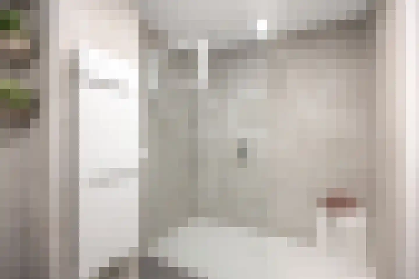 Sexbierumerweg 45 Franeker thumbnail 67