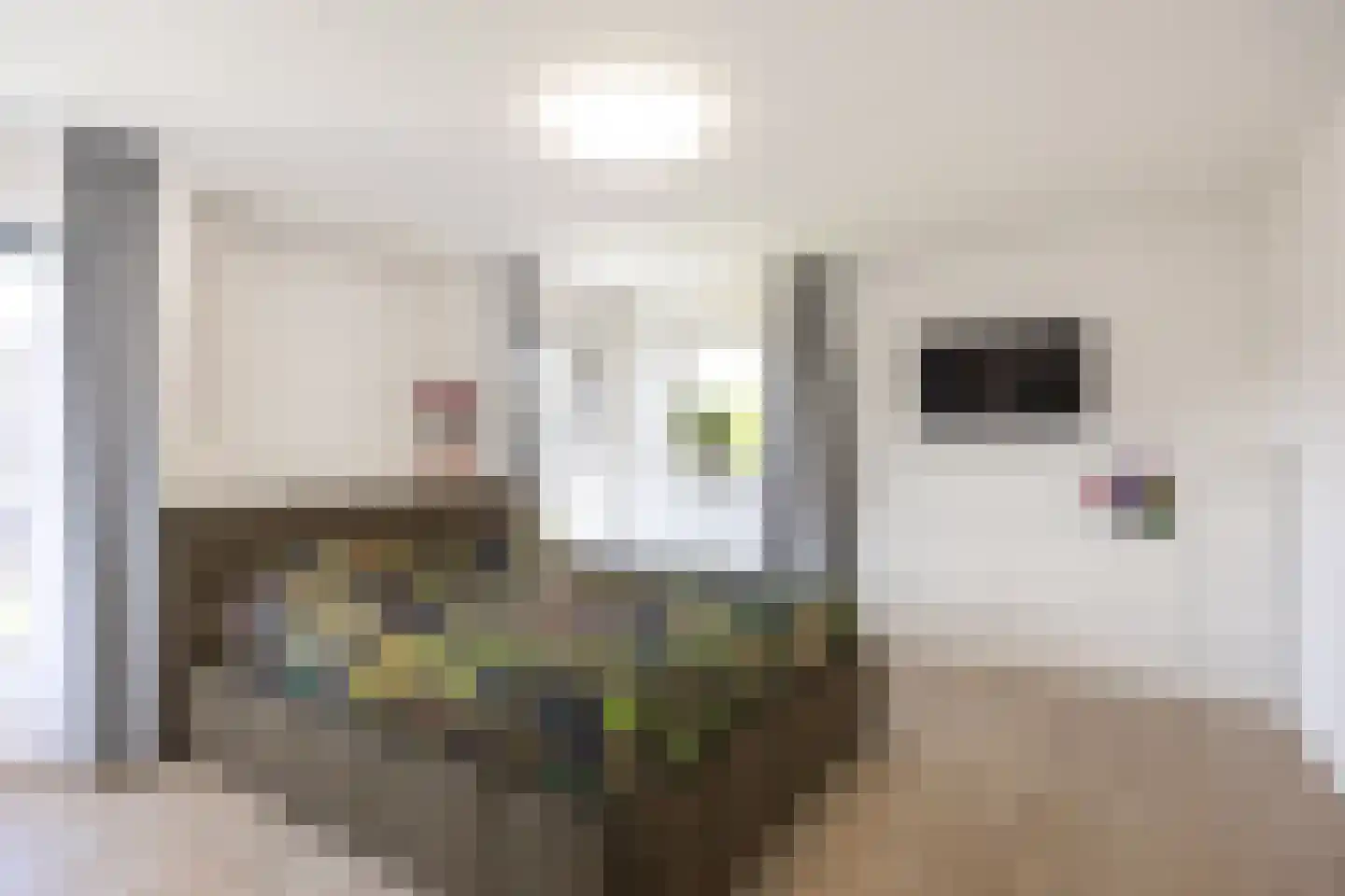 Sexbierumerweg 45 Franeker thumbnail 70