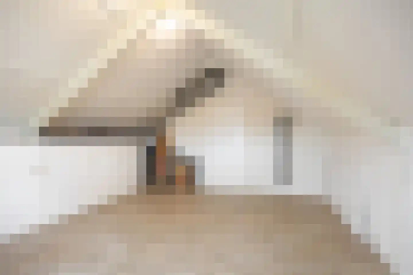 Sexbierumerweg 45 Franeker thumbnail 78