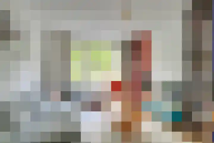 Seychellen 104 Utrecht thumbnail 17
