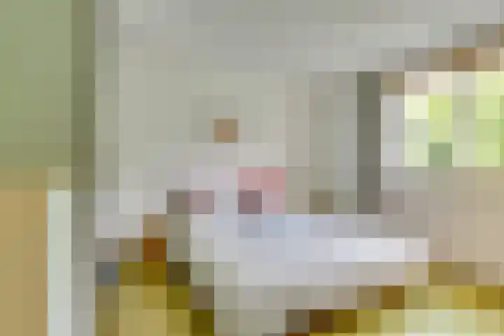 Seychellen 104 Utrecht thumbnail 20