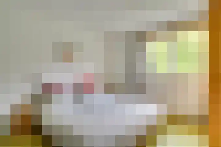 Seychellen 104 Utrecht thumbnail 21