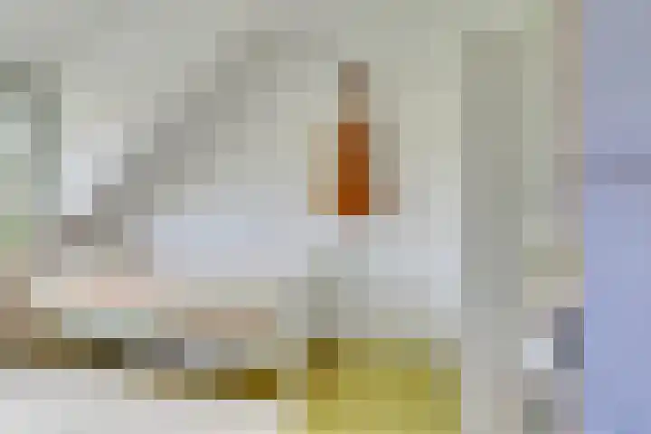 Seychellen 104 Utrecht thumbnail 24
