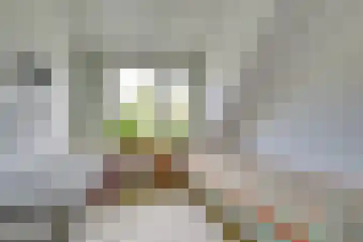 Seychellen 104 Utrecht thumbnail 25