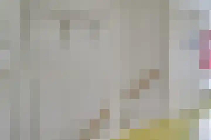 Seychellen 104 Utrecht thumbnail 30