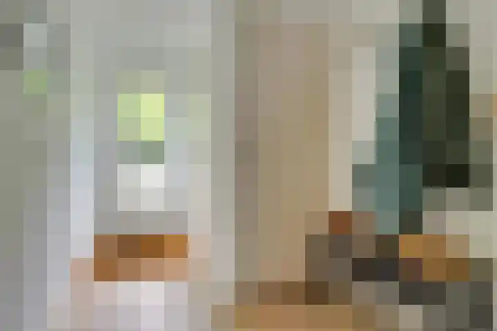 Seychellen 104 Utrecht thumbnail 32