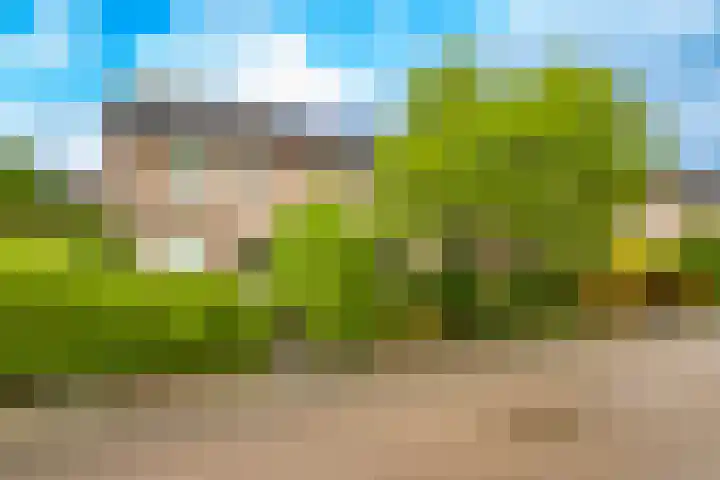 Seychellen 104 Utrecht thumbnail 34