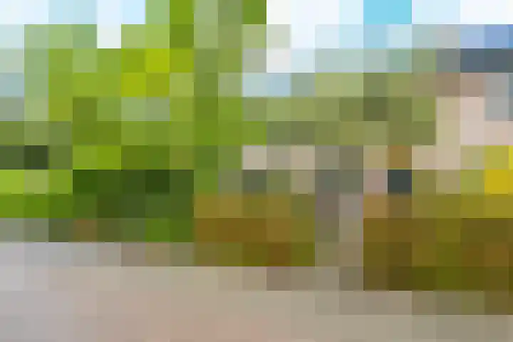 Seychellen 104 Utrecht thumbnail 35