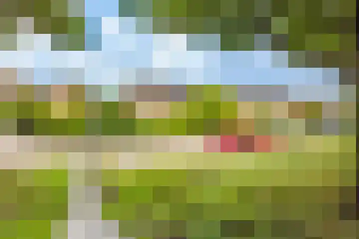 Seychellen 104 Utrecht thumbnail 36
