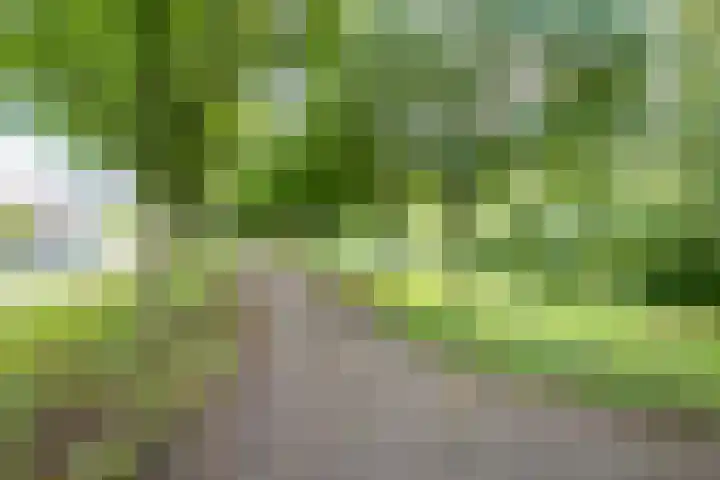 Seychellen 104 Utrecht thumbnail 37