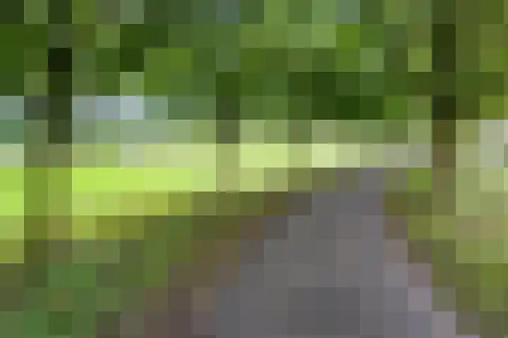 Seychellen 104 Utrecht thumbnail 38
