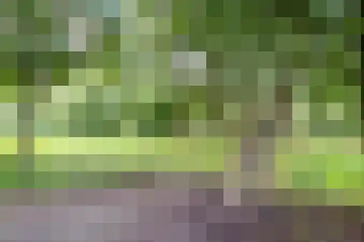 Seychellen 104 Utrecht thumbnail 39