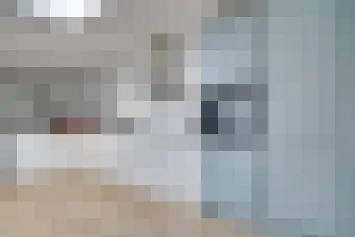 Seychellen 104 Utrecht thumbnail 5