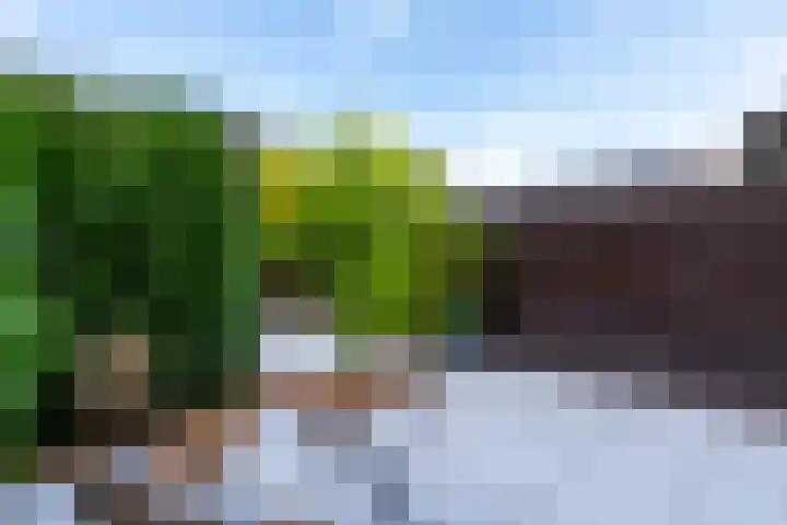 Seychellen 138 Utrecht thumbnail 12