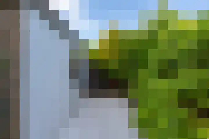 Seychellen 138 Utrecht thumbnail 13