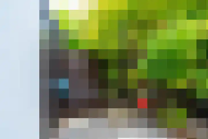 Seychellen 138 Utrecht thumbnail 14