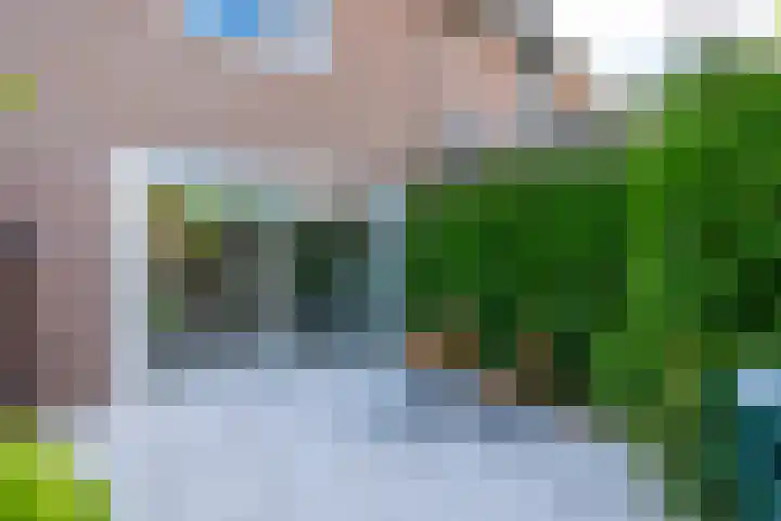 Seychellen 138 Utrecht thumbnail 17