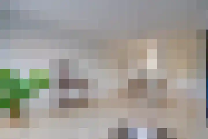 Seychellen 138 Utrecht thumbnail 18