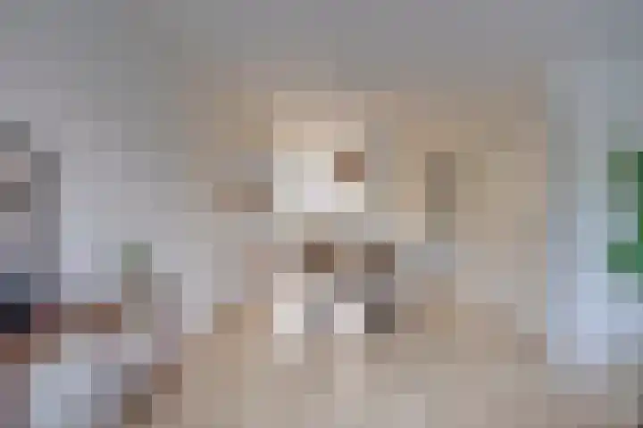 Seychellen 138 Utrecht thumbnail 21