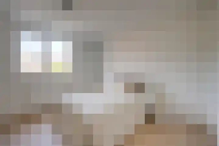 Seychellen 138 Utrecht thumbnail 26