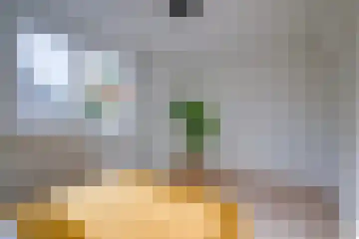 Seychellen 138 Utrecht thumbnail 32