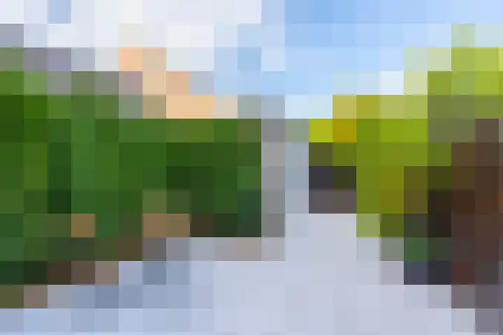 Seychellen 138 Utrecht thumbnail 4