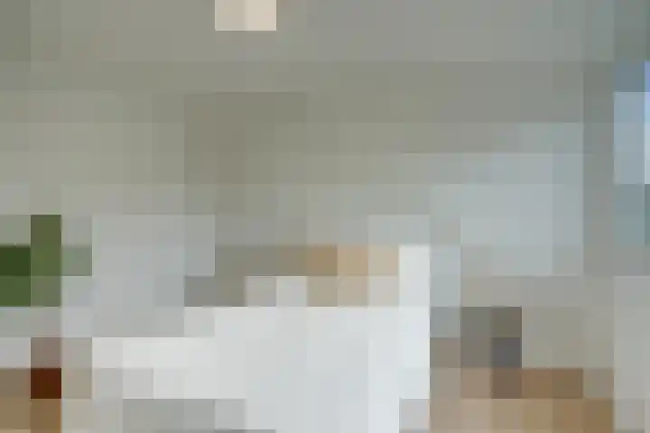 Seychellen 138 Utrecht thumbnail 40