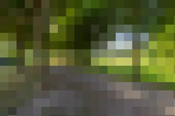 Seychellen 138 Utrecht thumbnail 42