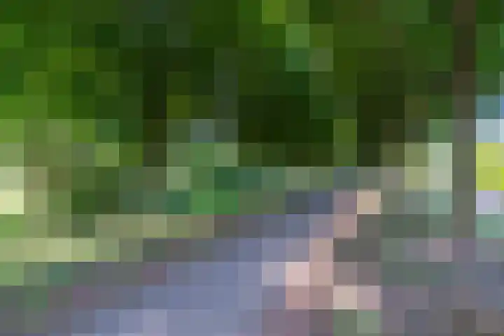 Seychellen 138 Utrecht thumbnail 43