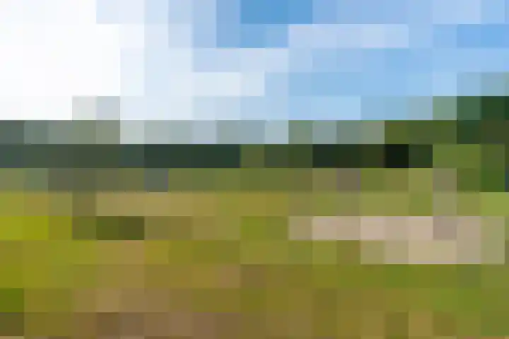 Seychellen 138 Utrecht thumbnail 44