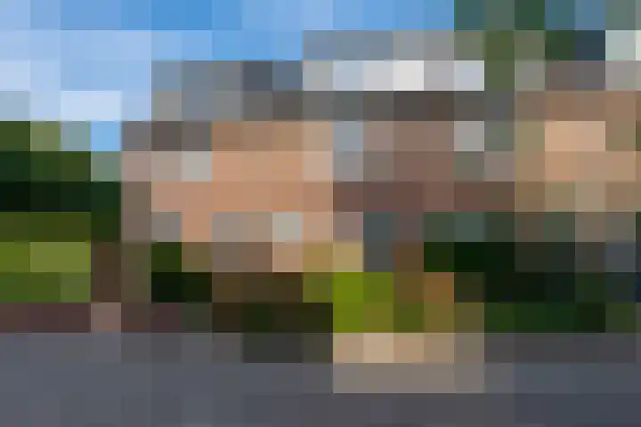 Seychellen 138 Utrecht thumbnail 47