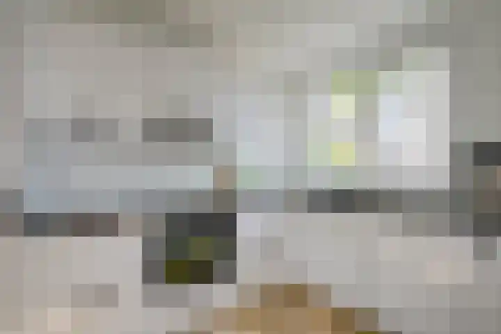 Seychellen 138 Utrecht thumbnail 5